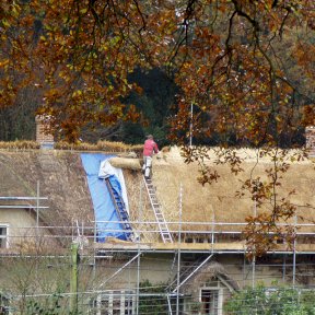 Repairing a roof in Damerham